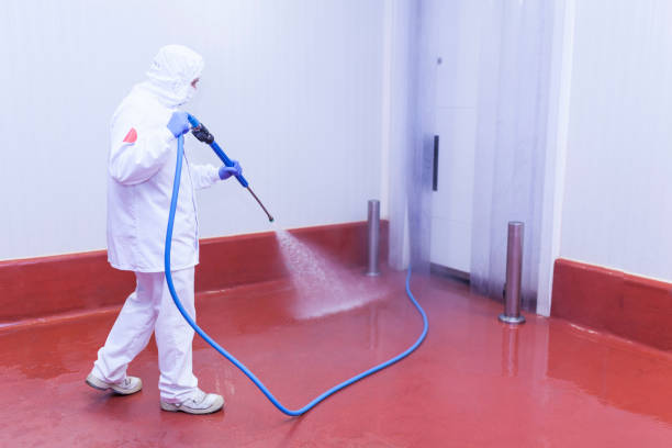Best Roof Washing  in Beulah, ND